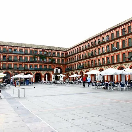 Apartment Pedro Lopez Free Parking Center Cordoba