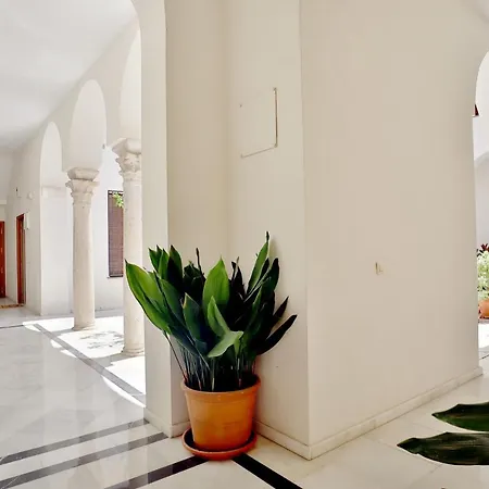 Pedro Lopez Free Parking Center * Córdoba